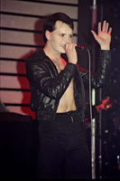 Alan Perry - Concert Photographs